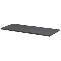 DOLLE Regalboden Lite 60 x 25 cm