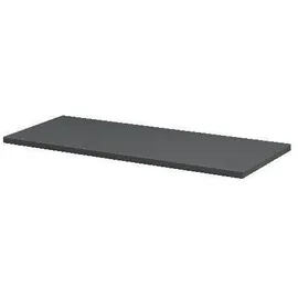 DOLLE Regalboden Lite 60 x 25 cm
