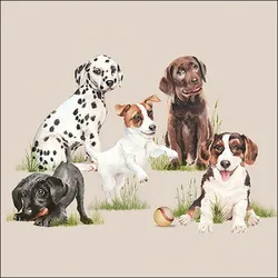 Ambiente 20 Servietten Papier 33x33cm 3-lagig - hochwertige Einweg Papierservietten mit Hundemotiv Tierfreunde Kindergeburtstage Feiern Tischdeko
