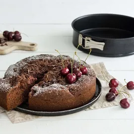 Zenker Springform Ø 20 cm, Backform mit Antihaftbeschichtung, runde Kuchenform mit Flachboden (Farbe: schwarz, antihaftbeschichtet,