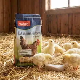 PANTO Kükenalleinkorn (2 MM gekörnt 10kg