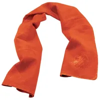 Ergodyne Kühltuch Chill-Its 6602, blau, 33 x 75cm -