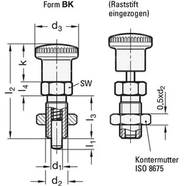 GANTER Normelemente | Rastbolzen - GN 817-10-12-BK | Ohne Rastsperre | Stahl brüniert | Raststift gehärtet| 1 Stück