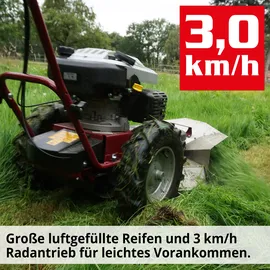 Hecht Kreiselmäher 5060 4,9 PS