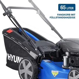 Hyundai LM4623G 3,9 PS