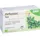 SALUS Pfefferminz Tee Menthae piperitae folium bio Salus