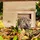 Relaxdays Igelhaus aus Holz
