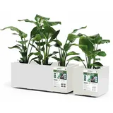 Euro3Plast Greener KEBE 40 cm weiß