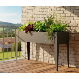Westmann Vedura M 30 x 100 x 80 cm Anthrazit