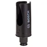 Bosch Accessories (2608580734)