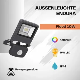 LEDVANCE Endura Flood Sensor 10 W 292154