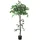 Decovego Künstlicher Ficus Benjamin, Kunstpflanze 160 cm
