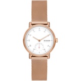 Skagen KUPPEL LILLE, SKW3099