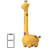 Bebird Otoskop Mit Ohrreinigungskamera D3 Pro - Yellow