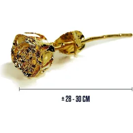 MikaMax Rose 24 Karat Gold - Gold