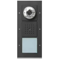 Gira Video-Türstation AP 1fach 126967 anthrazit