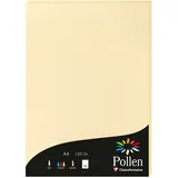 Pollen 10x Papier A4 Pollen 120g 50 Blatt - Chamois 4296C