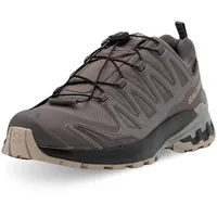 Salomon XA Pro 3D V9 GTX Damen Plum Kitten/Black/Gull 40