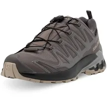 Salomon XA Pro 3D V9 GTX Damen Plum Kitten/Black/Gull 40
