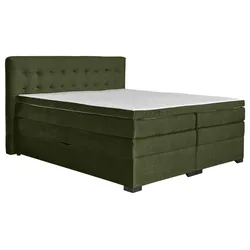 Boxspringbett Madeira in Grün ca. 200x200cm