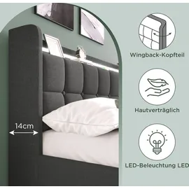 Flieks Polsterbett 160x200cm mit USB und Steckdosen, Jugendbett Doppelbett mit 4 Schubladen, Stauraumbett Massivholzbett mit LED und Lattenrost, Le... - Grau