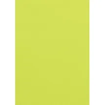 Clairefontaine Trophée A4 80 g/m2 100 Blatt