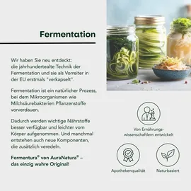 Pharmatura GmbH & Co. KG AuraNatura Fermentura Doloferm 60 st