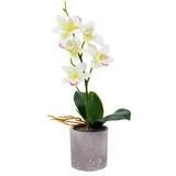 Emyimom Künstliche Orchidee, Kunstblume Schmetterling Orchidee mit Vase Hochzeit Garten Inneneinrichtungen,33cm (weiß)