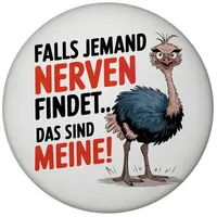 Speecheese Falls jemand Nerven findet DAS SIND Meine Magnet