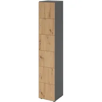 Hammerbacher Schließfachschrank grafit, asteiche V264L6/G/R/DS, 6 Schließfächer 40,0 x