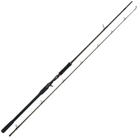 Westin W4 Powercast-T 2nd 2,55m XXH 40-130g Baitcast Rute