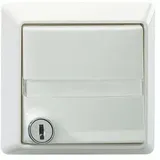 Rutenbeck Abdeckplatte AP V rw