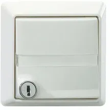 Rutenbeck Abdeckplatte AP V rw