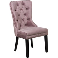 DRW Set mit 2 Stühlen aus Samt und Holz und hoch. Sitz Rosa 52 x 63 x 100 cm, Höhe 48 cm, 52x63x100cm