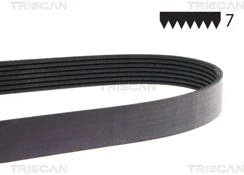 TRISCAN Keilrippenriemen 8640700778 für Fiat