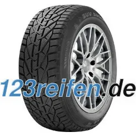Riken SUV Snow 225/65 R17 106H