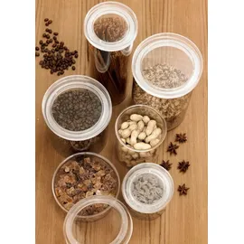 Plast Team Trockenvorratsdose Stockholm 2,6 l 1-tlg. transparent