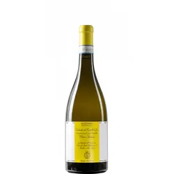 Verdicchio dei Castelli di Jesi Classico Superiore Santa Barbara 2021