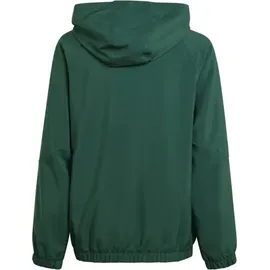 adidas Tiro 24 Windbreaker Kinder - grün 116