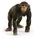 Schleich Wild Life Schimpanse 14883