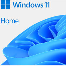 Microsoft Windows 11 Home ES