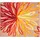 GRUND Badematte Art Orange 60 x 50 cm