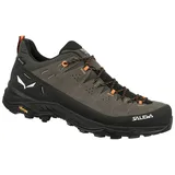 Salewa Alp Trainer 2 GTX Herren Bungee Cord/Black 46