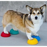 FitPaws Pfotenkissen 4 Stück