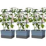 Gusta Garden Charly Chili Pflanzgefäß 68,7 x 103,5 x 27,5 cm Blau