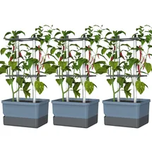 Gusta Garden Charly Chili Pflanzgefäß 68,7 x 103,5 x 27,5 cm Blau