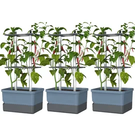 Gusta Garden Charly Chili Pflanzgefäß 68,7 x 103,5 x 27,5 cm Blau