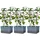 Gusta Garden Charly Chili Pflanzgefäß 68,7 x 103,5 x 27,5 cm Blau
