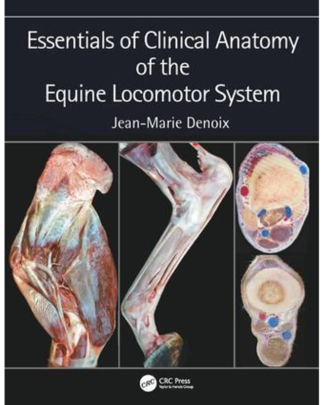 Essentials Of Clinical Anatomy Of The Equine Locomotor System - Jean-Marie Denoix  Gebunden