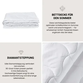 SCHIESSER Leichtsteppdecke Sommar | 135 x 200 cm | für Allergiker geeignet | dünne Steppdecke für den Sommer | 135x200cm
